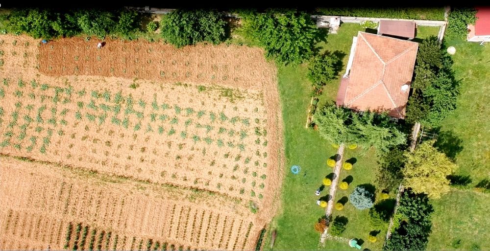 Özkan Gayrimenkul / Şile satılık villa arsa daire ŞİLE KORUCUKÖY 4750