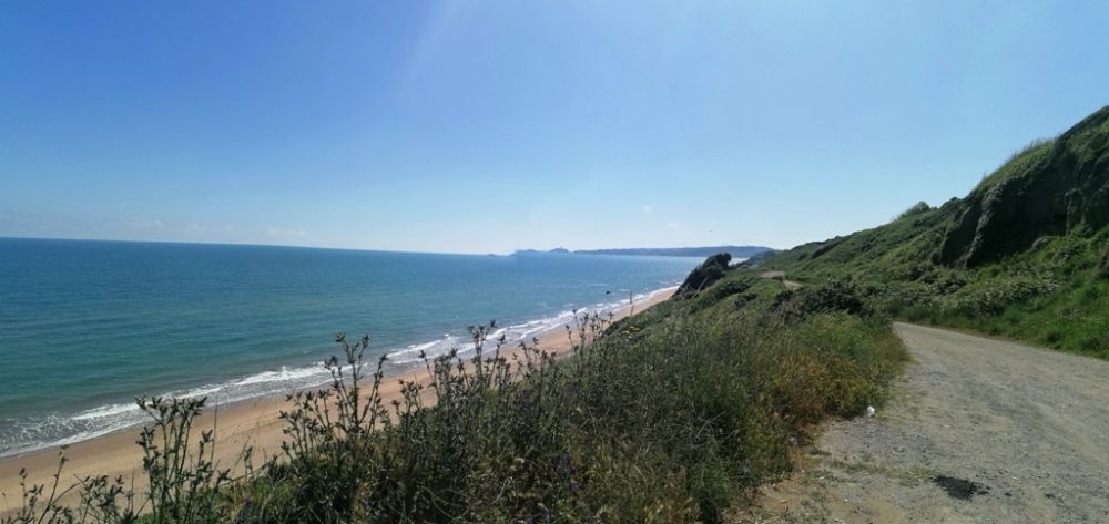 Özkan Gayrimenkul / Şile satılık villa arsa daire