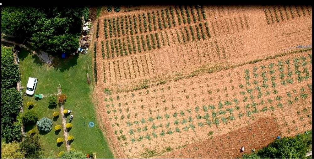 Özkan Gayrimenkul / Şile satılık villa arsa daire ŞİLE KORUCUKÖY 4750