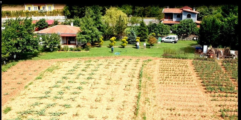 Özkan Gayrimenkul / Şile satılık villa arsa daire ŞİLE KORUCUKÖY 4750